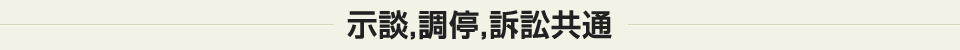 示談、調停、訴訟共通